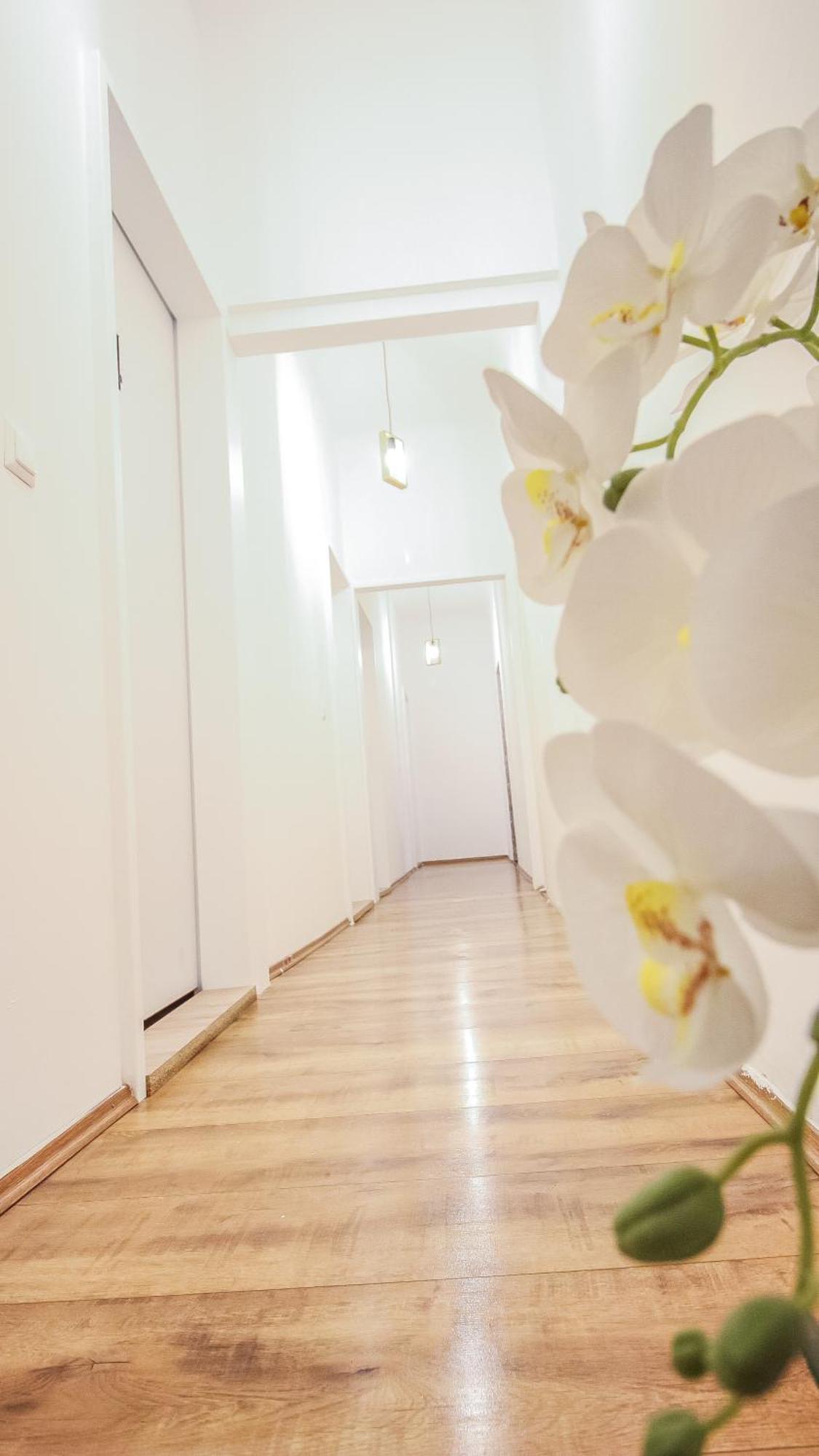 Comfortable Accommodations In The Alterlaa Area Lv6 Vienna Luaran gambar